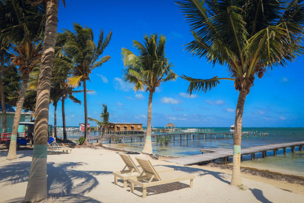 istock Relaxing beach view on Caye Caulker with palm trees and clear blue skies 2203202572