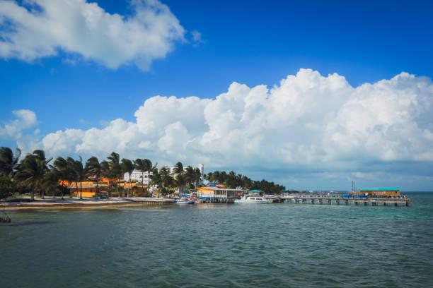 istock Vibrant coastline at Caye Caulker Belize under a bright blue sky with fluffy clouds 2203202582