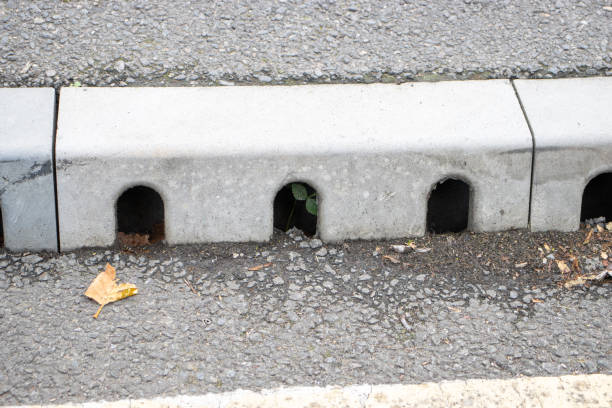 istock clean water drain covers on the road pavement 2203205377