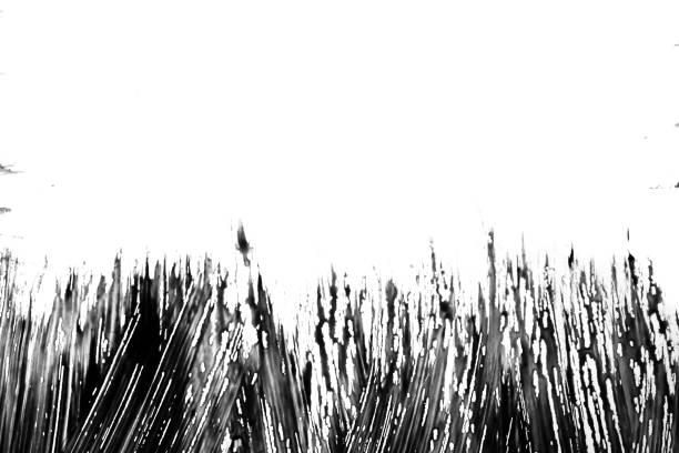 black brush strokes isolated on white background