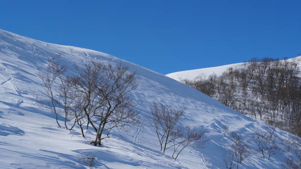 istock Hakuba Winter Sports Park 2203208516