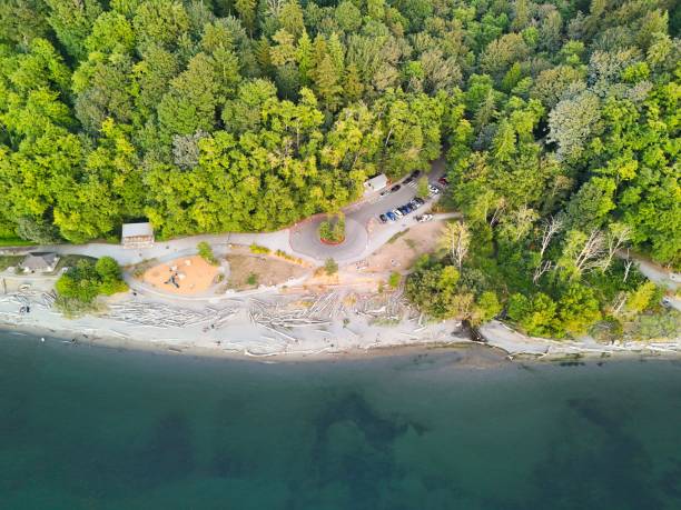 Aerial view of a beach with driftwood.