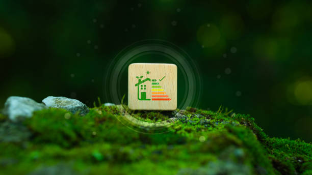 istock Home energy efficiency concept or energy saving rate to reduce carbon emissions. Green building on wooden blocks for sustainable development. Energy efficiency to save green energy cost. 2203211557