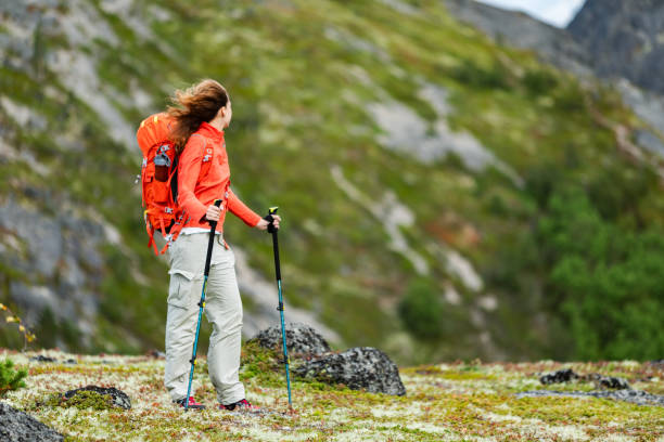 istock Solo travel in mountain 2203213167