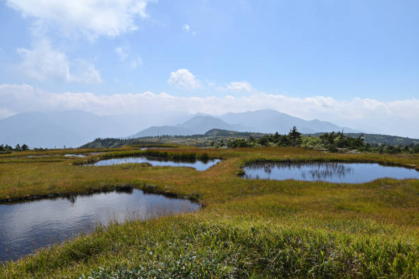 istock Climbing  Mount Naeba, Niigata, Japan 2203213523