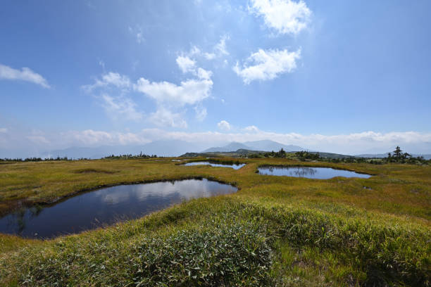 istock Climbing  Mount Naeba, Niigata, Japan 2203213544