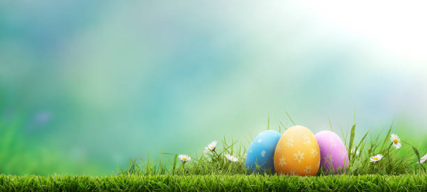 three painted easter eggs celebrating a happy easter on a spring day. - påskägg bildbanksfoton och bilder