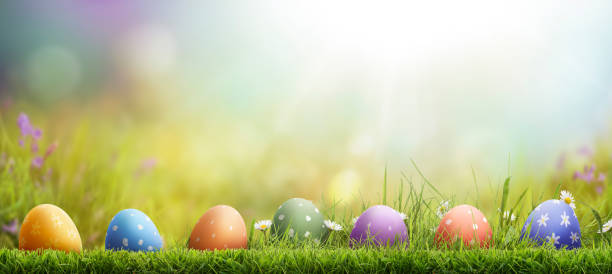 istock Seven painted easter eggs celebrating a Happy Easter on a spring day with a green grass meadow. 2203214846