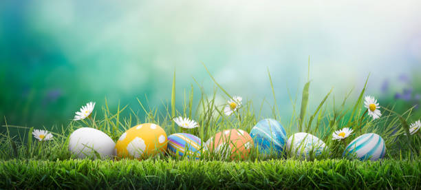 istock Seven painted easter eggs celebrating a Happy Easter on a spring day with a green grass meadow. 2203214950