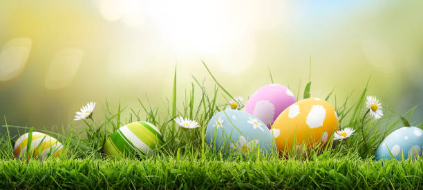 istock Six painted easter eggs celebrating a Happy Easter on a spring day with a green grass meadow. 2203214963