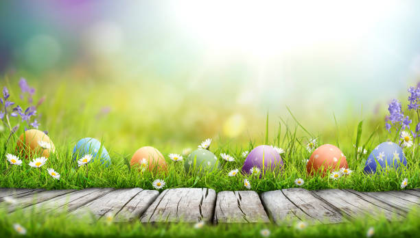 istock Seven painted easter eggs celebrating a Happy Easter on a spring day with a green grass meadow. 2203215135