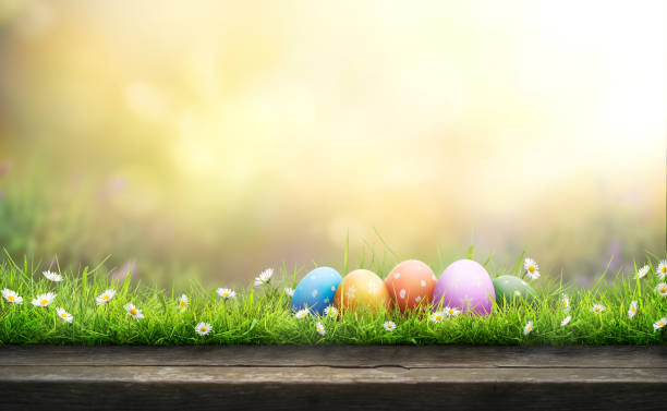 istock Five painted easter eggs celebrating a Happy Easter on a spring day with a green grass meadow. 2203215138