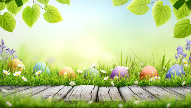 istock Seven painted easter eggs celebrating a Happy Easter on a spring day with a green grass meadow. 2203215142