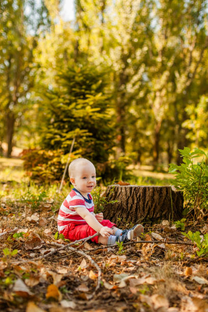 istock Little boy under one year old sitting on a tree stump in the park playing with a dry twig 2203217372
