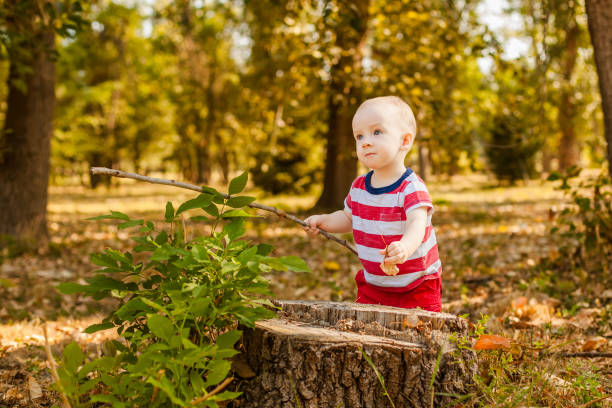 istock Baby under one year standing leaning on a tree stump outdoors in an autumn forest 2203217389