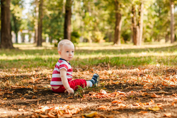 istock One-year-old little boy exploring the world in an autumn forest 2203217555
