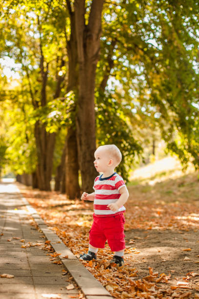 istock One-year-old little boy exploring the world in an autumn forest 2203217604