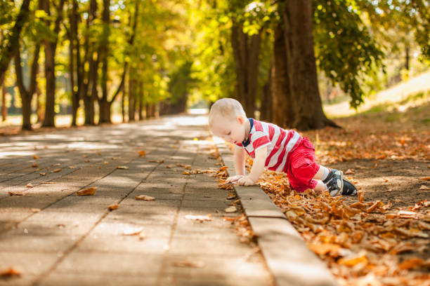 One-year-old little boy exploring the world in an autumn forest