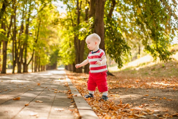 istock One-year-old little boy exploring the world in an autumn forest 2203217609