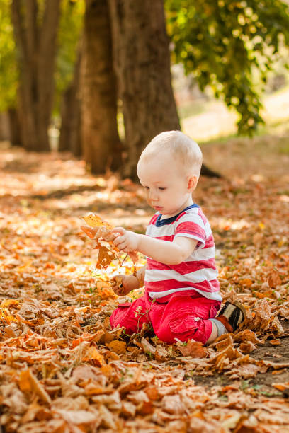 istock One-year-old little boy exploring the world in an autumn forest 2203217625