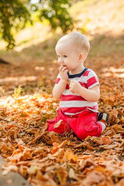 One-year-old little boy exploring the world in an autumn forest