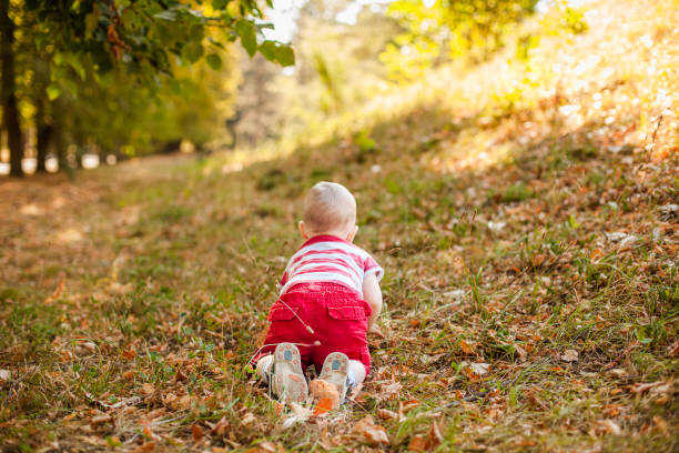 istock Baby under one year learning to crawl on autumn leaves in a warm park 2203217656