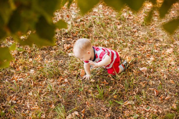 istock Baby under one year learning to crawl on autumn leaves in a warm park 2203217676