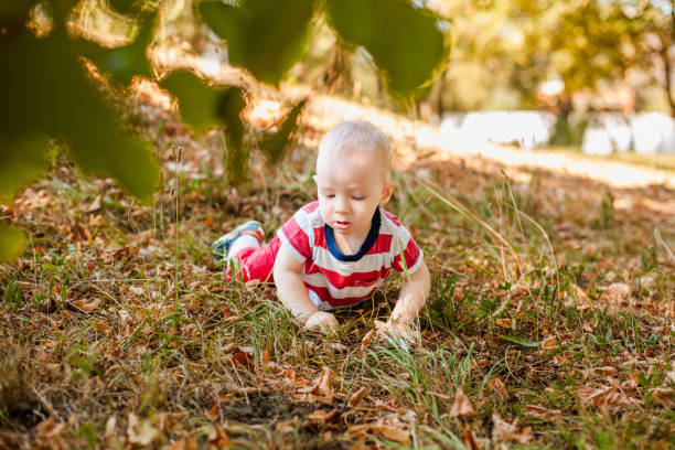 istock Baby under one year learning to crawl on autumn leaves in a warm park 2203217687