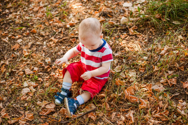 One-year-old little boy exploring the world in an autumn forest