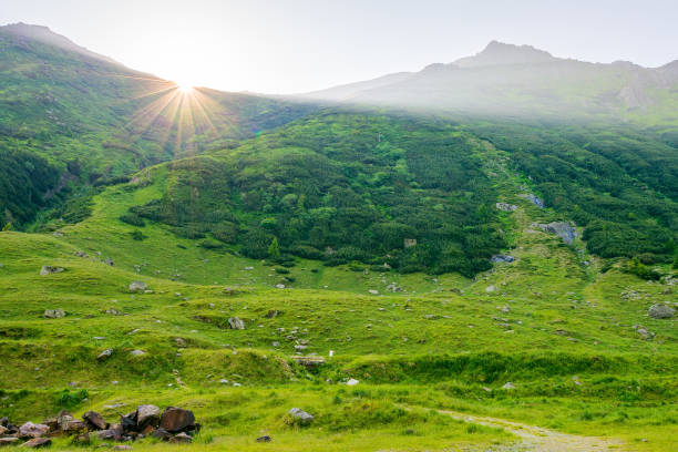 mountain landscape at sunrise in summer. high altitude. scenery with green valley of fagaras ridge in morning light. travel romania. natural environment