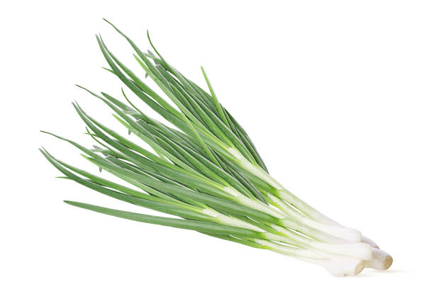 Bunch of green young onions isolated on white background. Clipping Path. Full depth of field.
