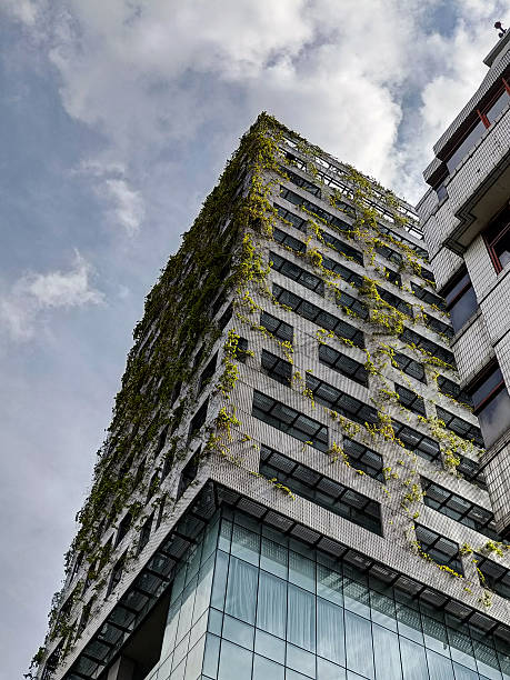 istock Modern office building with green plants growing 2203222777