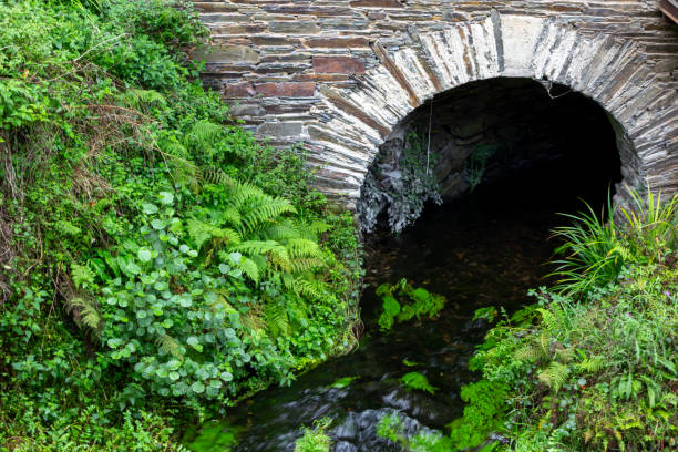 This photograph captures a tranquil scene where a small, clear stream flows from an old stone bridge into a verdant environment.