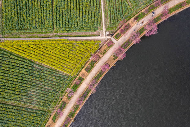 istock Aerial view of the artificial lake and adjacent fields 2203225087