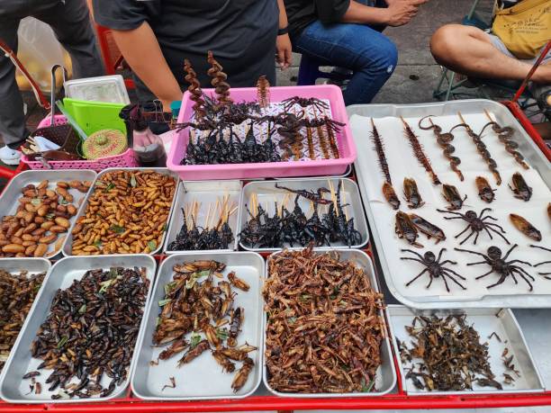 Bangkok Street Food