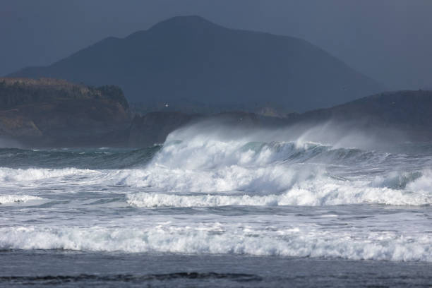 Pacific Ocean coast, rocks and waves. Kunashir. South Kurils