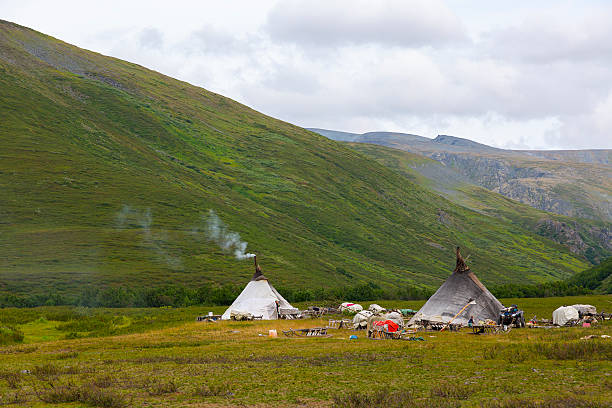 istock Nenets reindeer herders choom on a summer. Russia 2203228169