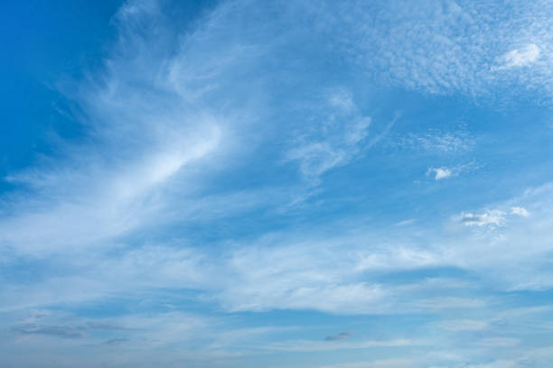 istock Serene Tropical Sky Blue Sky White Cirrus Clouds Palm Tree Silhouette 2203228324