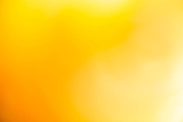istock Luxury of light yellow and golden smooth blurred gradient background has a little abstract light. modern of sunlight shadow backdrop for graphic design, Empty wallpaper template for products 2203228451