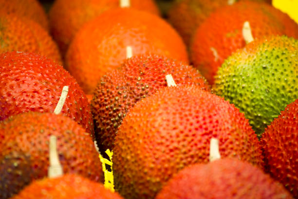 vibrant red gac fruits are gathered together