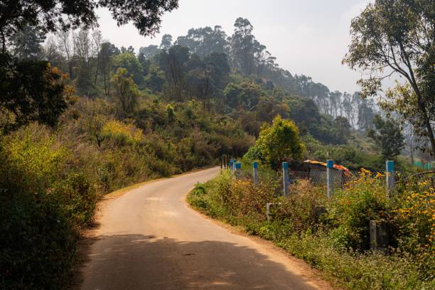 istock Scenic rural road through lush green hills 2203231533