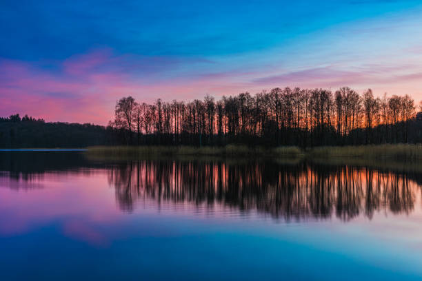 Golden and purple colors fill the sky as the sun sets behind a calm lake. Tall trees create a dark silhouette against the colorful backdrop, enhancing the serene mood.