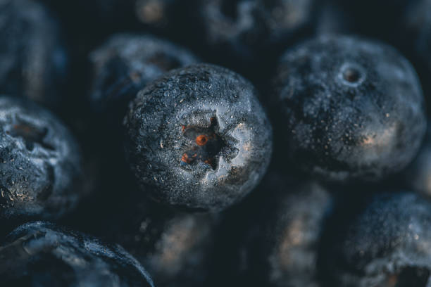 A bunch of blueberries Macrophotography