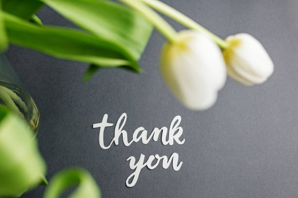 istock Beautiful white tulips with thank you message on dark background 2203241152