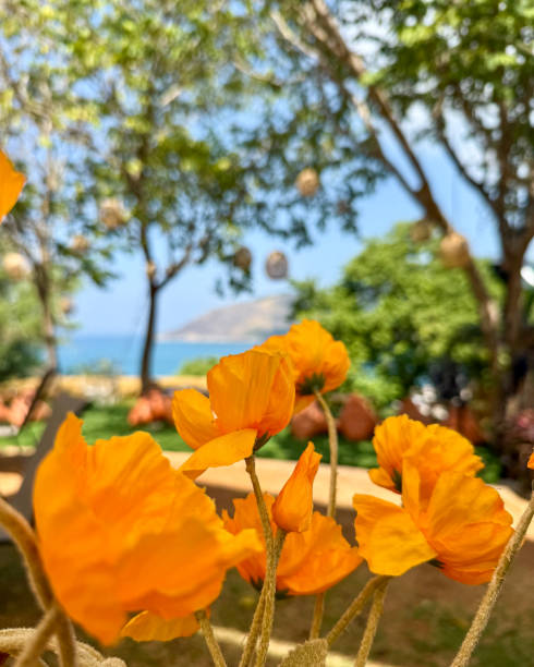 Bright Yellow Flowers in a Lush Garden