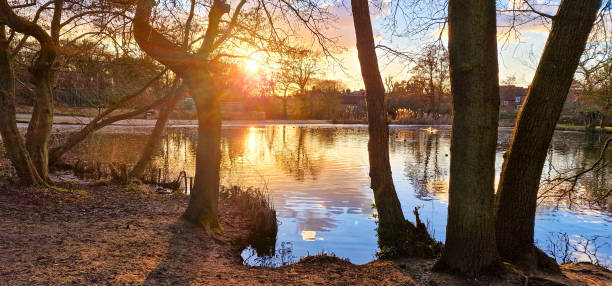 istock Highams Park Lake 2203248378