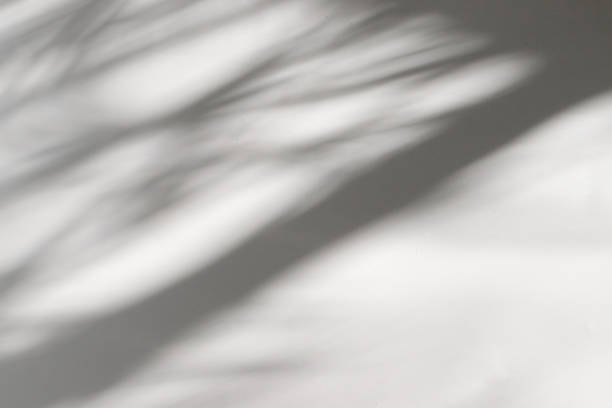 istock play of light and shadow, soft blurred shadow silhouettes fall on a light surface creating an abstract pattern.space for text 2203248685