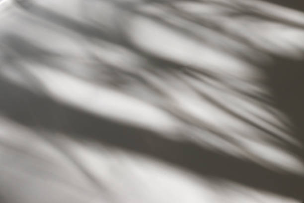 istock play of light and shadow, soft blurred shadow silhouettes fall on a light surface creating an abstract pattern.space for text 2203248813