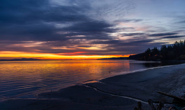 istock Vivid Sunset Over Ocean on Vancouver Island's Sandy Beach 2203252483