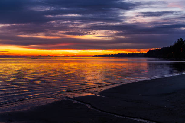 istock Stunning Sunset Over Tranquil Beach on Vancouver Island 2203252491